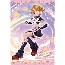 プリキュアデータカードダス キュアブラック(美墨なぎさ)11枚セット 41YFqVzg+oL._AC_UL210_SR210,